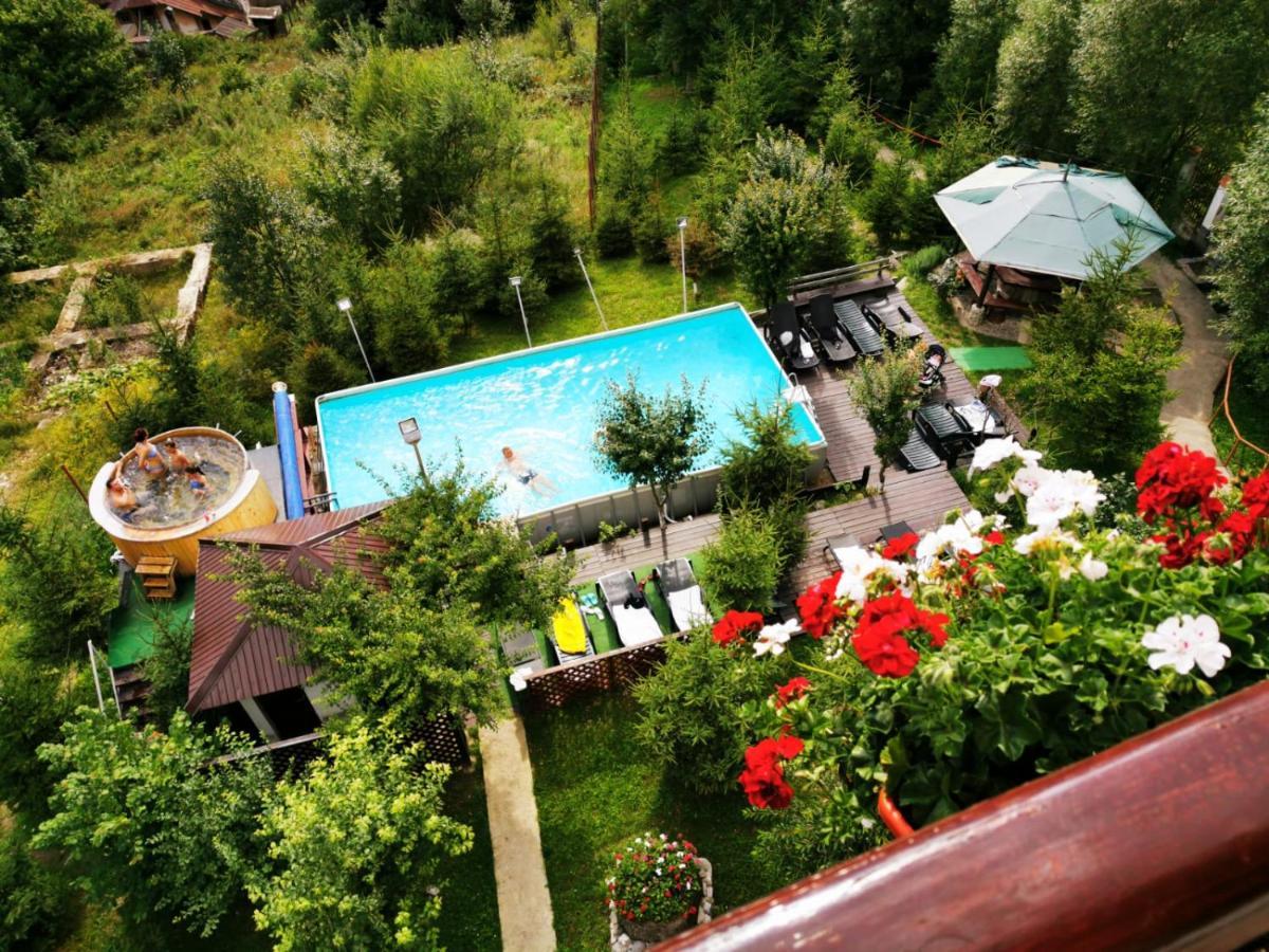 Vila Alunis Buşteni Exterior foto