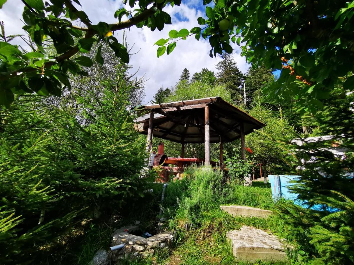 Vila Alunis Buşteni Exterior foto