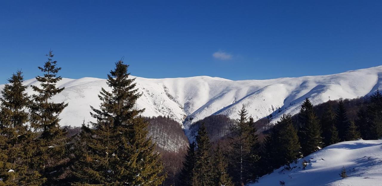 Vila Alunis Buşteni Exterior foto