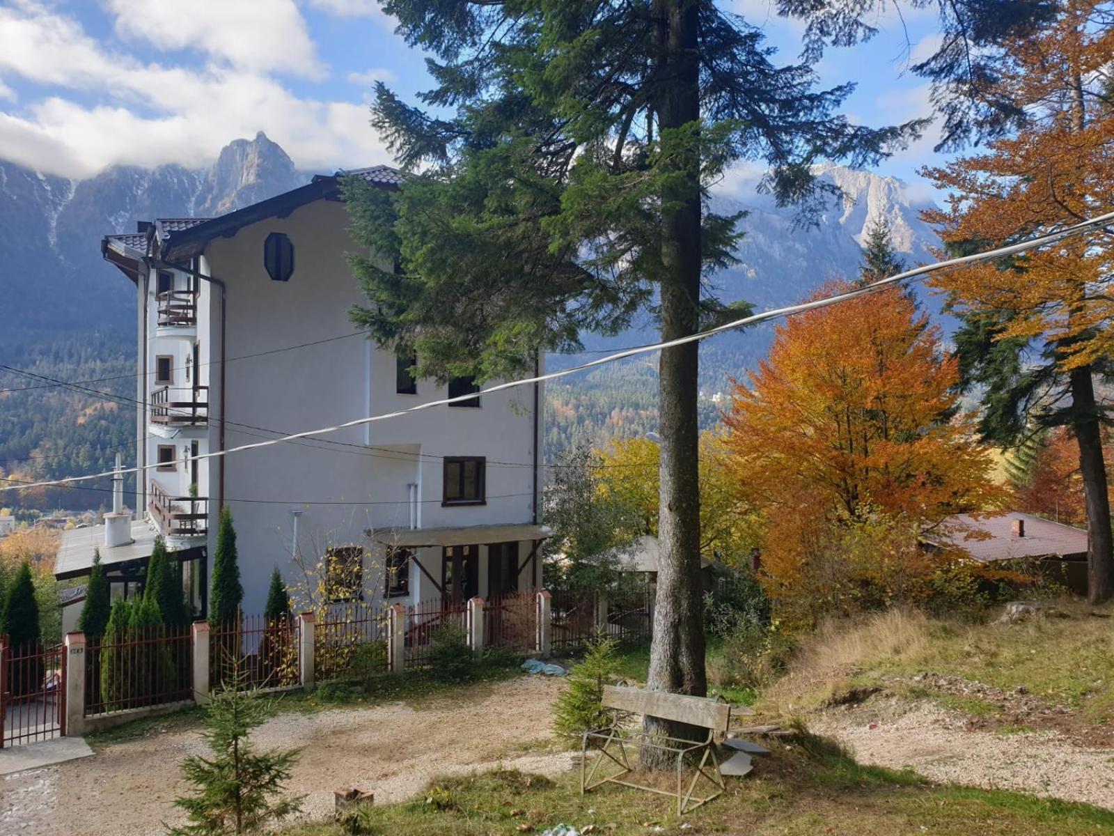 Vila Alunis Buşteni Zimmer foto